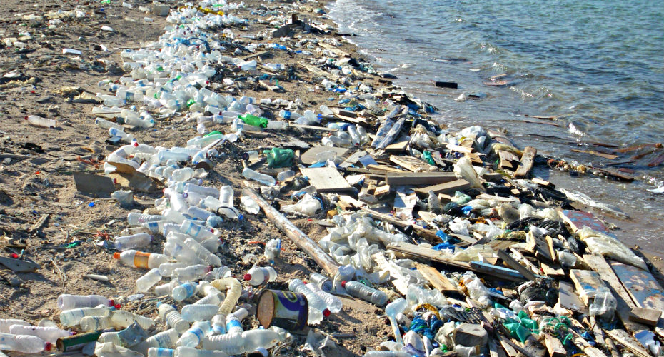 Want to help cleanup our coastline? Science World